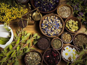 Explore the 9 best herbs to detox your body