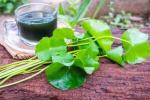 pennywort juice nutrition