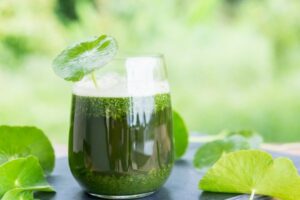 what is pennywort drink