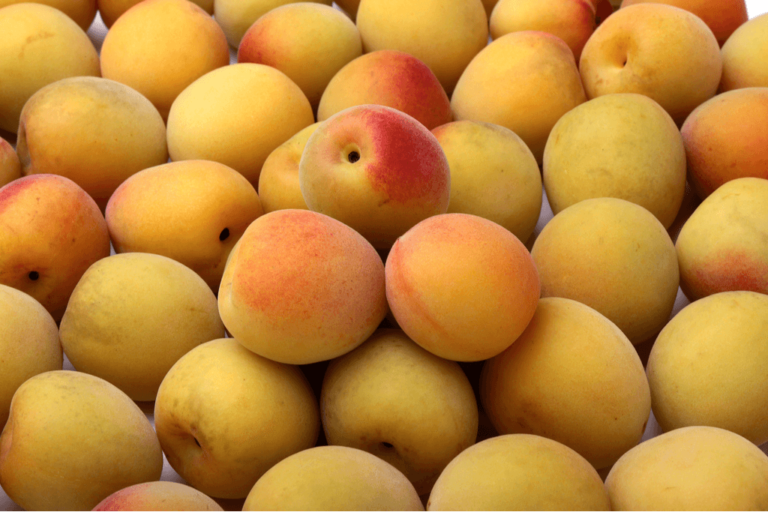 What ingredient is used in preserved apricots without sugar? Future