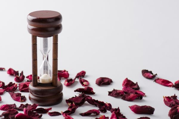can you use rose petals for tea (3)