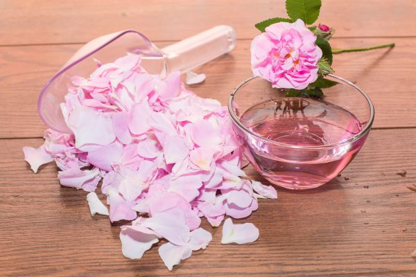 can you use rose petals for tea (4)