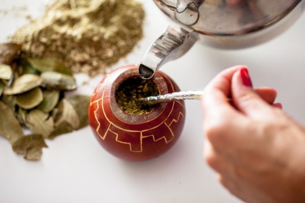 health benefits of yerba mate
