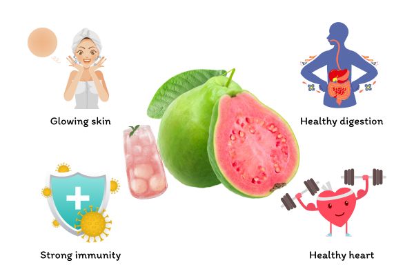 Pink guava’s health benefits