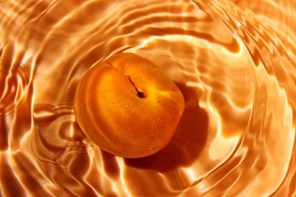 sugar-preserved apricot