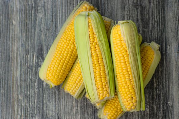 Fresh sweet corn