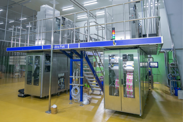 Tea in Paper Boxes (1)