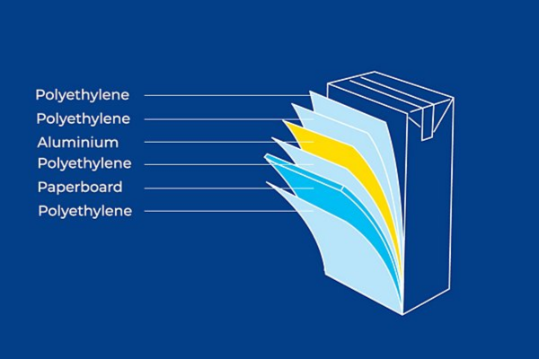Tea in Paper Boxes (3)