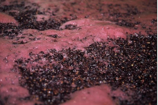 Oxygen can boost yeast growth in wine production