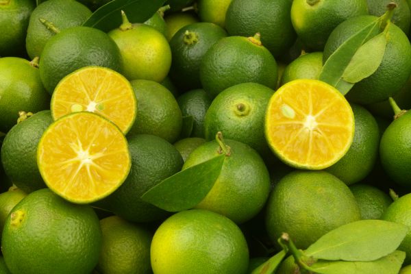 calamansi fruit
