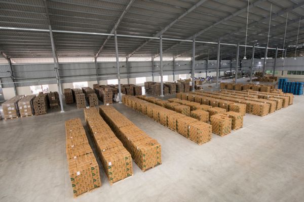 Qualified storage conditions